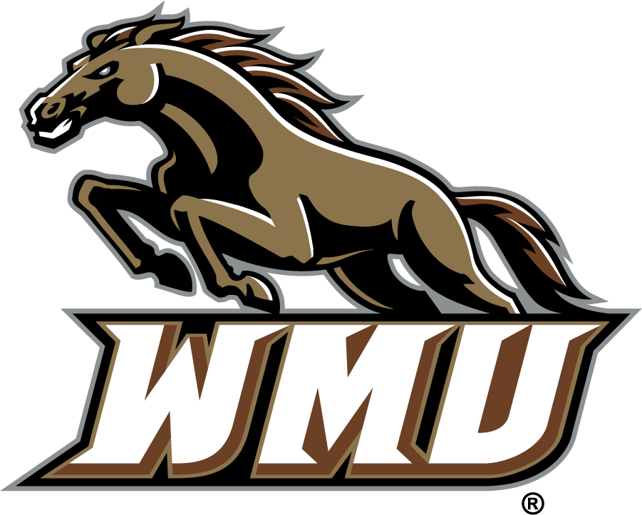 Western Michigan Broncos 1998-2016 Secondary Logo iron on transfers for clothing